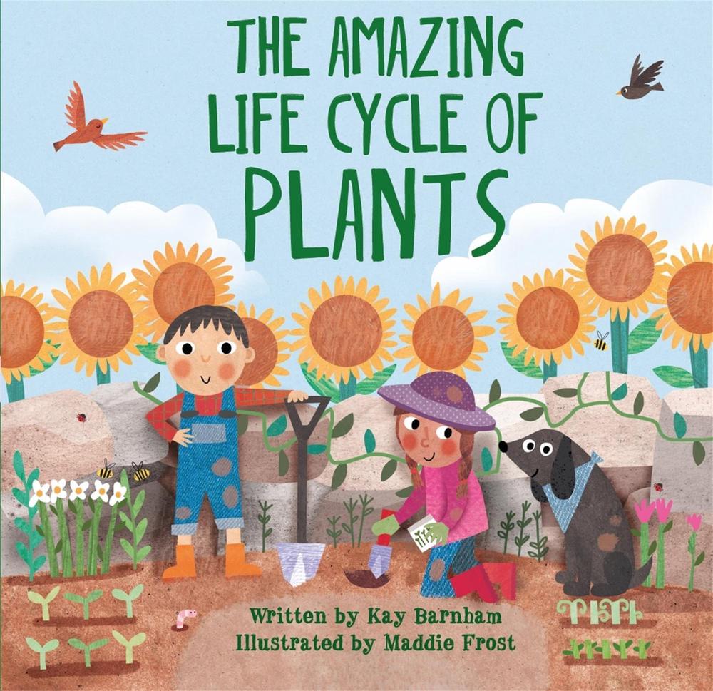 Look and Wonder: The Amazing Plant Life Cycle Story by Kay Barnham - ISBN: 9780750299589