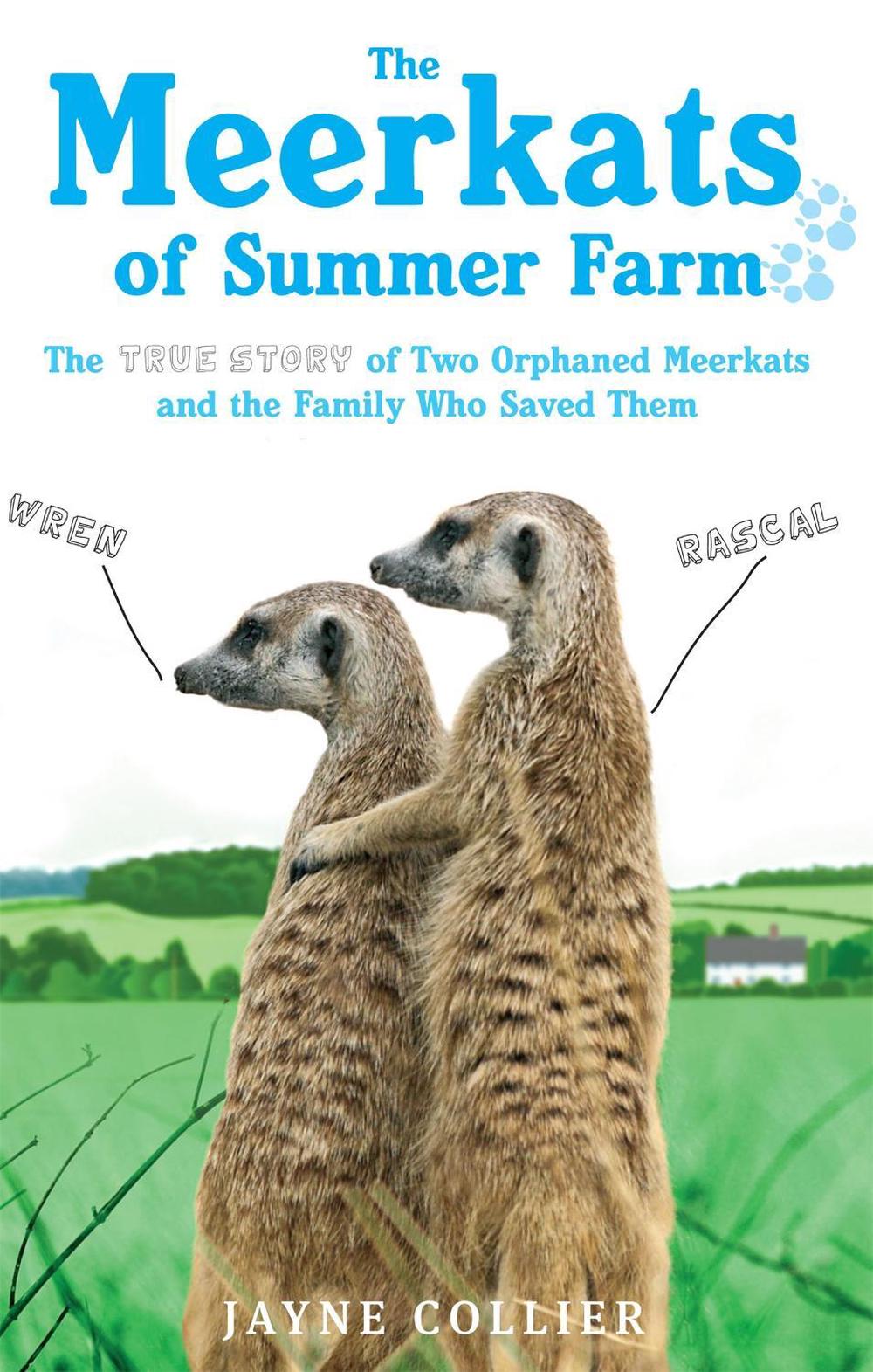 The Meerkats Of Summer Farm by Jayne Collier - ISBN: 9780751545845