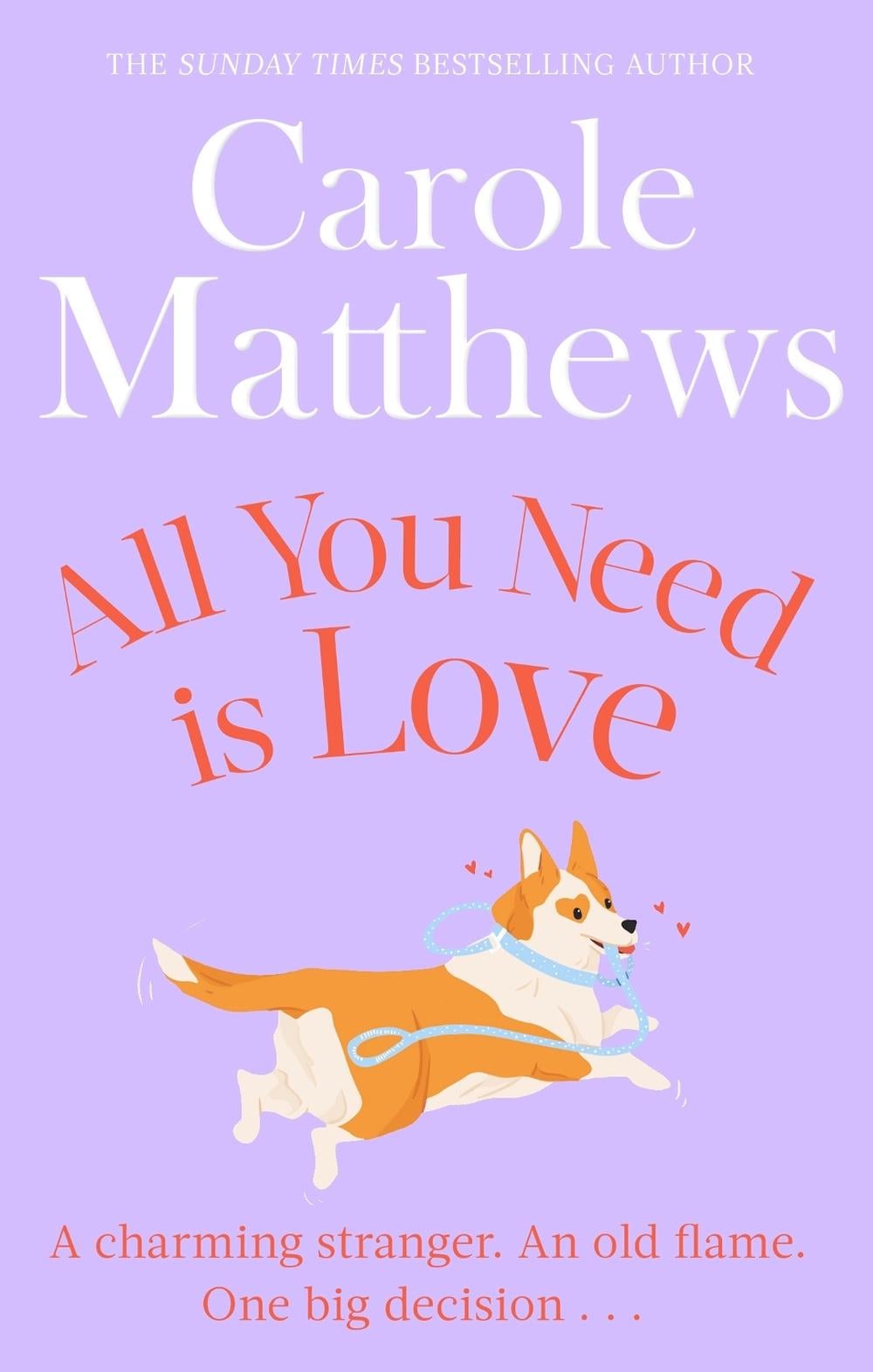 All You Need is Love by Carole Matthews - ISBN: 9780751551488