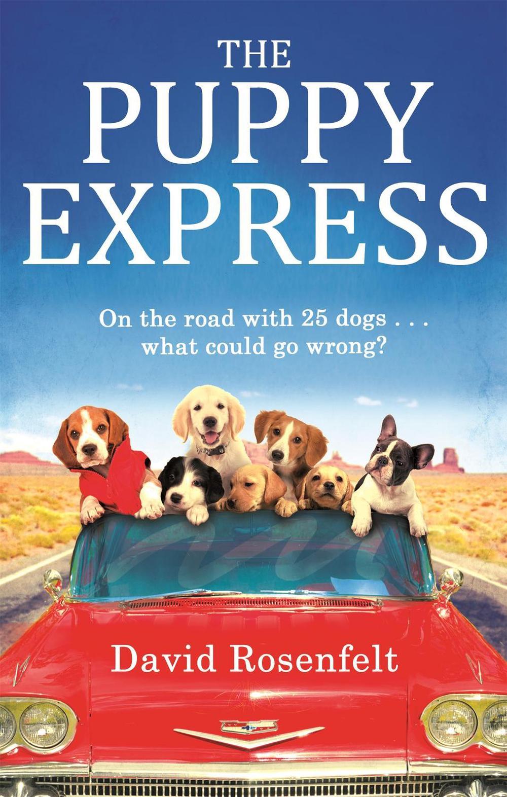 The Puppy Express by David Rosenfelt - ISBN: 9780751553529