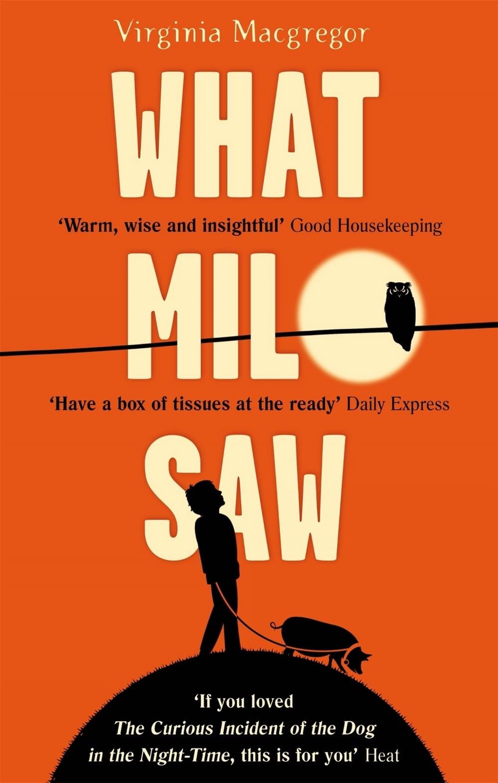 What Milo Saw by Virginia Macgregor - ISBN: 9780751554274