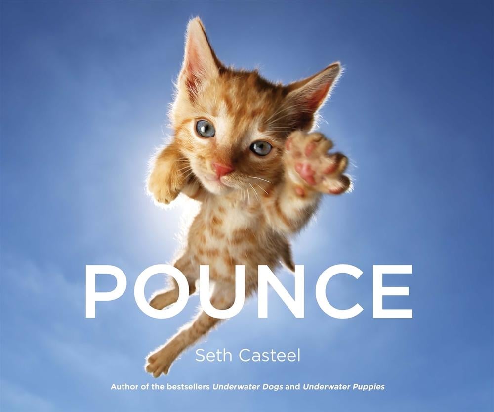 Pounce by Seth Casteel - ISBN: 9780751566291