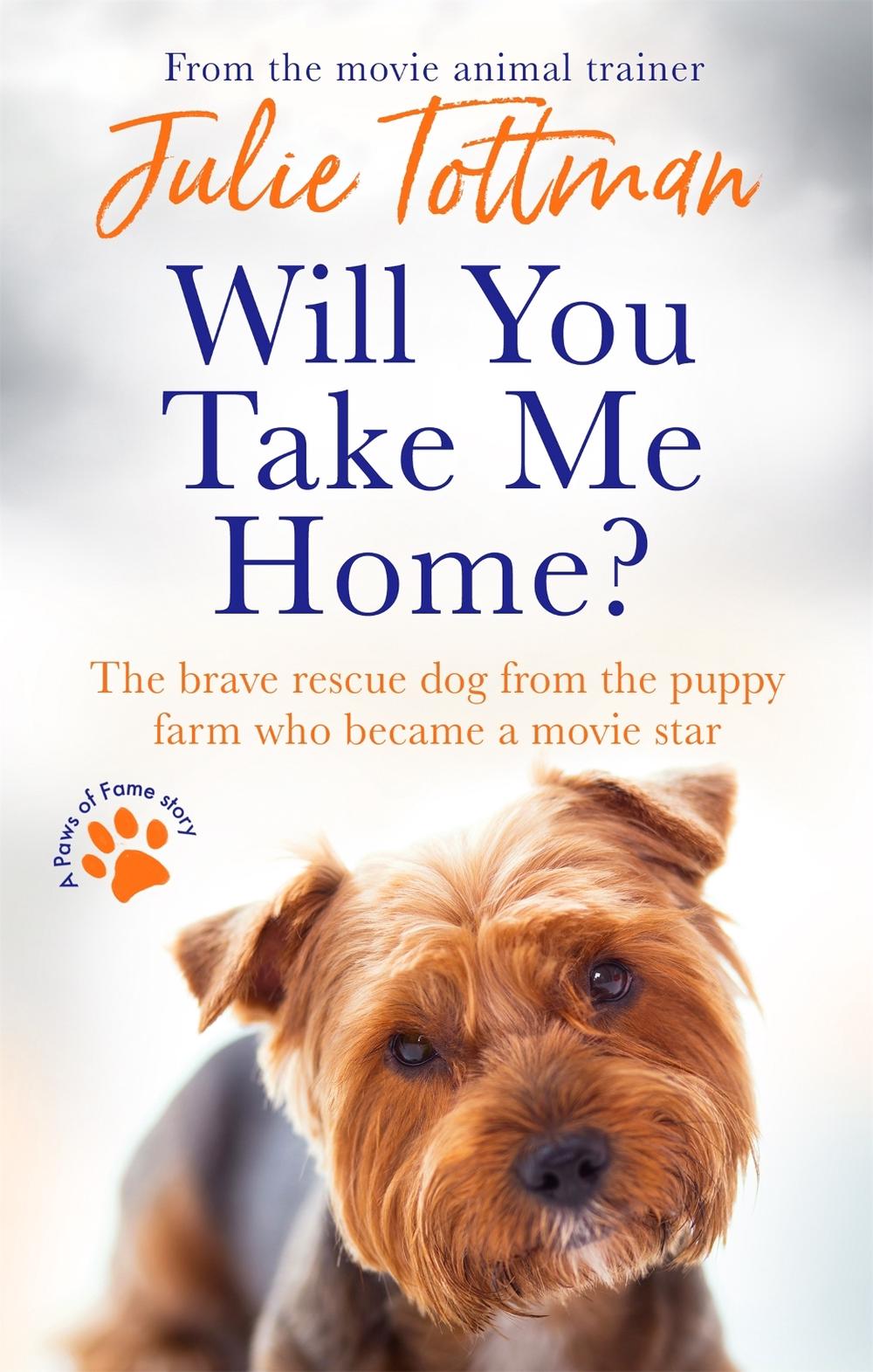 Will You Take Me Home? by Julie Tottman - ISBN: 9780751580099