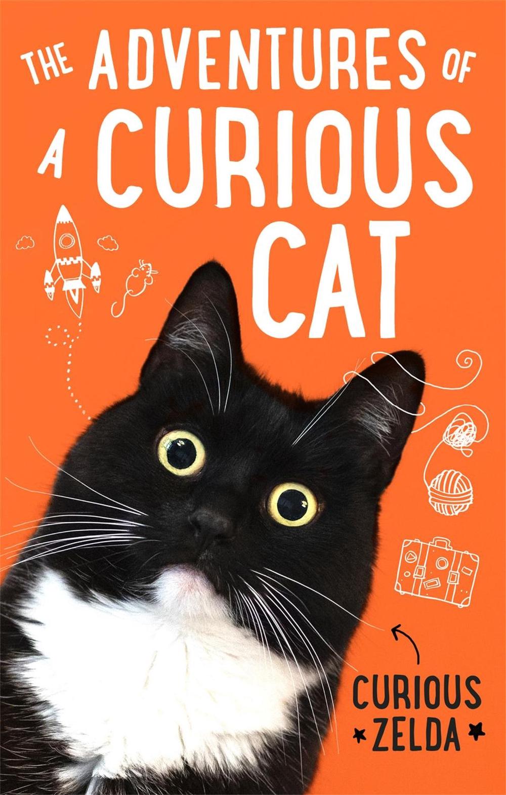 The Adventures of a Curious Cat by Curious Zelda - ISBN: 9780751581195