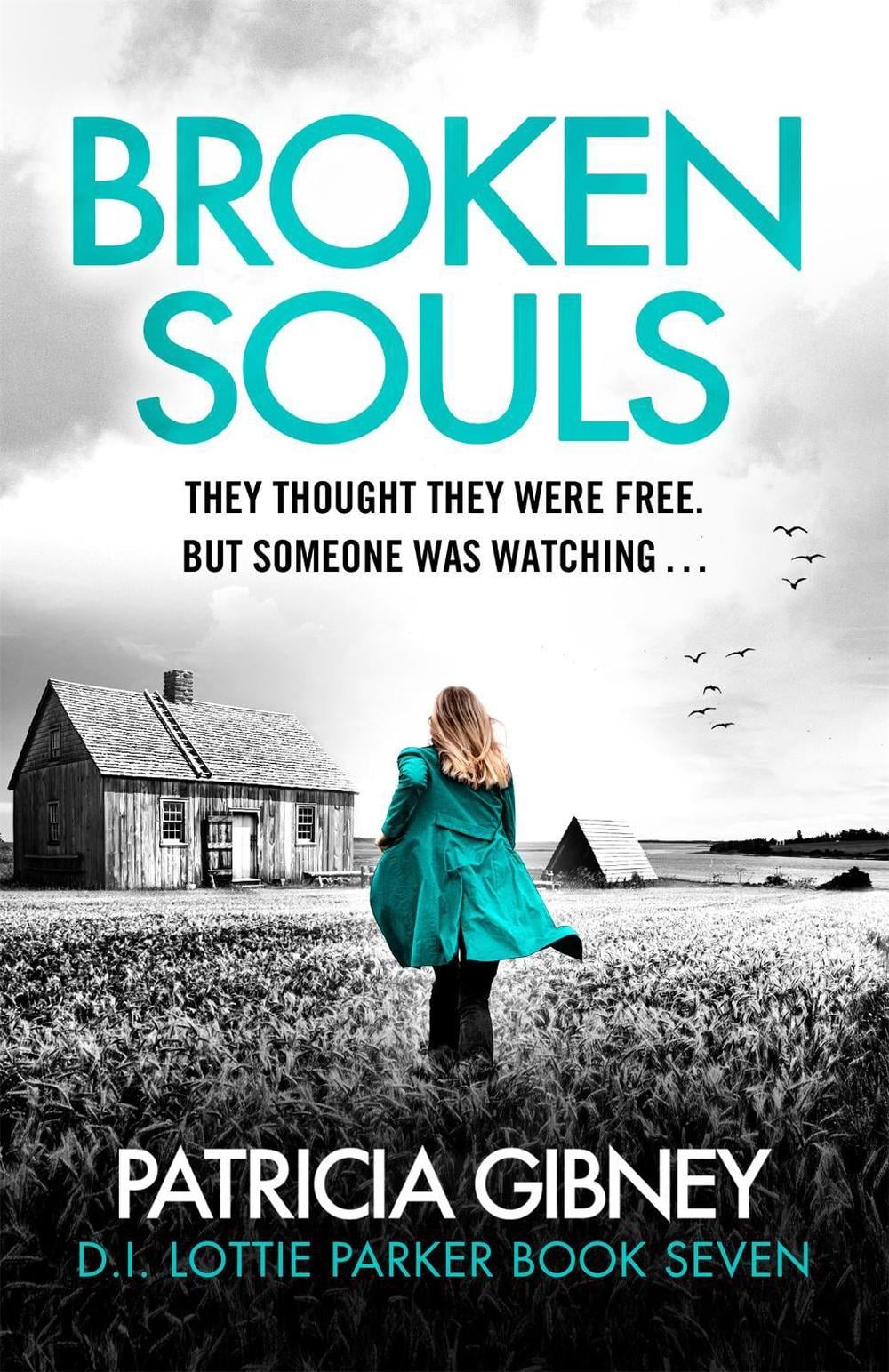 Broken Souls by Patricia Gibney - ISBN: 9780751582680