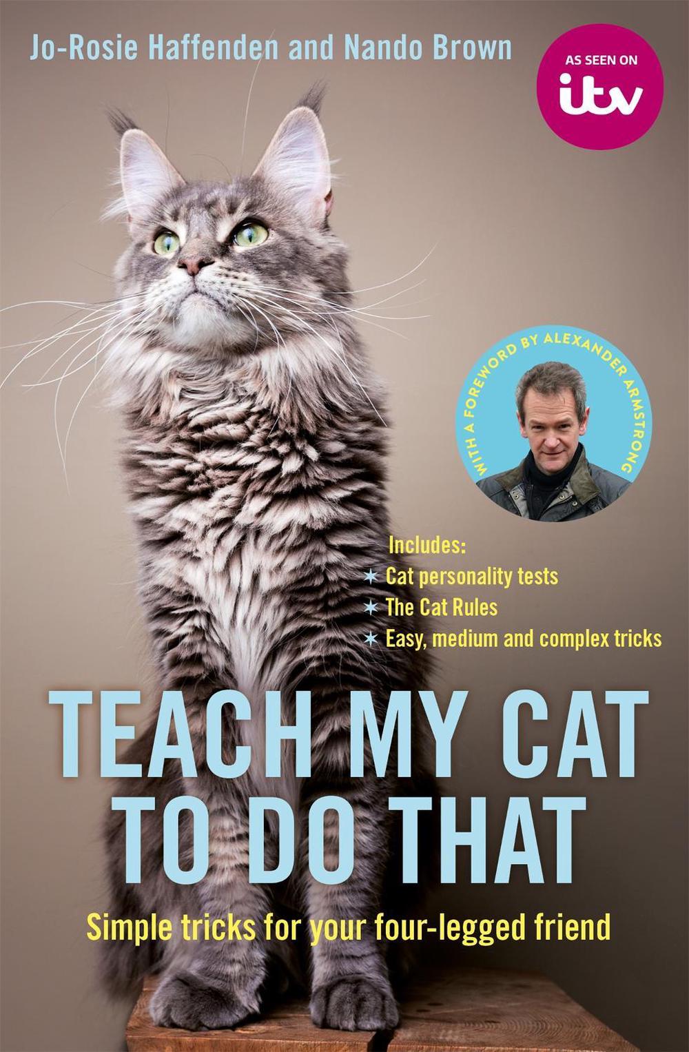 Teach My Cat to Do That by Jo-Rosie Haffenden - ISBN: 9780752266428