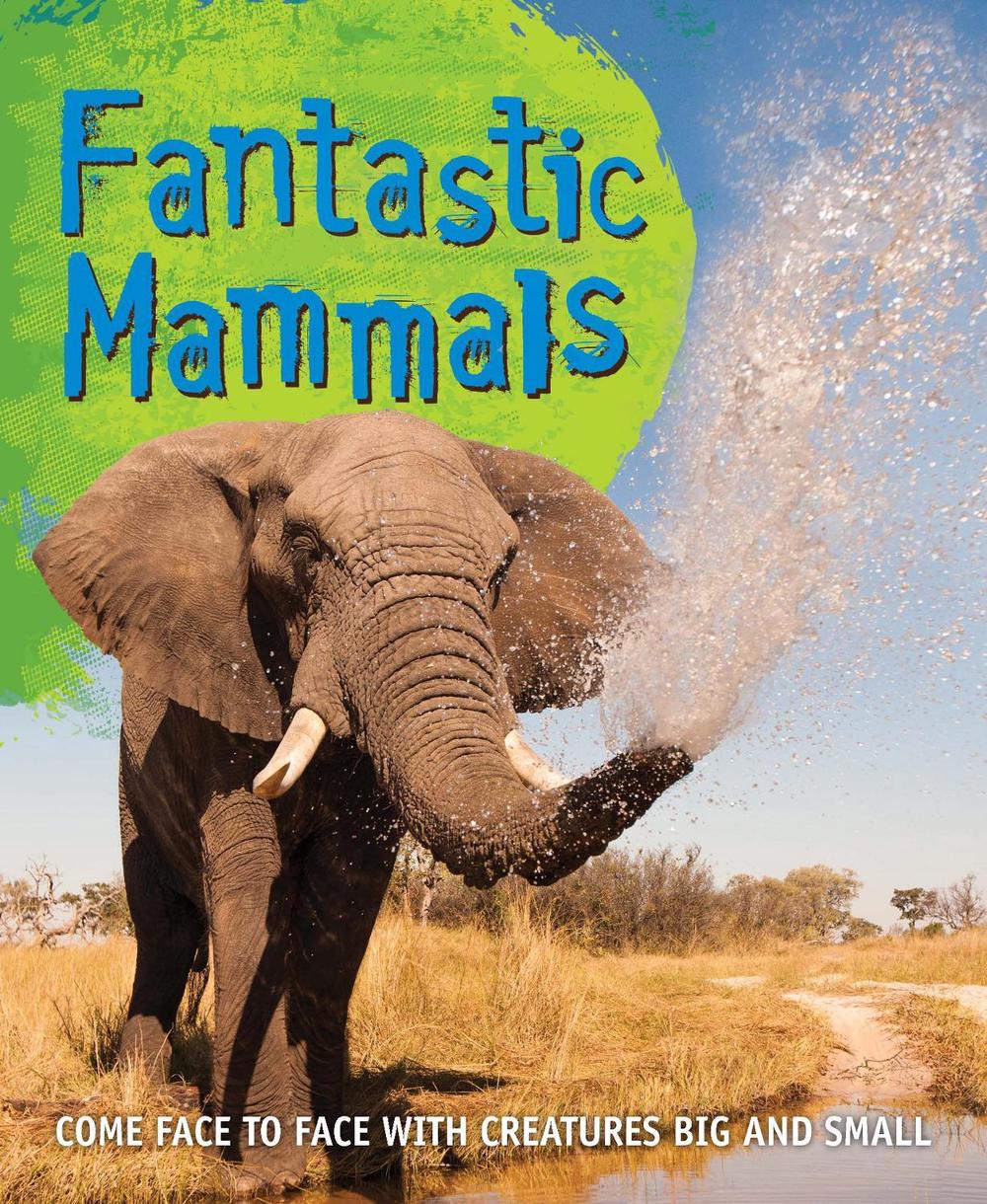 Fast Facts! Fantastic Mammals, 9780753439685