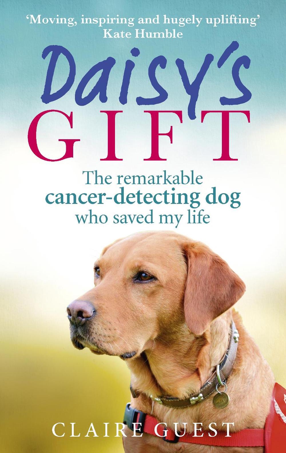 Daisy’s Gift by Claire Guest - ISBN: 9780753557426