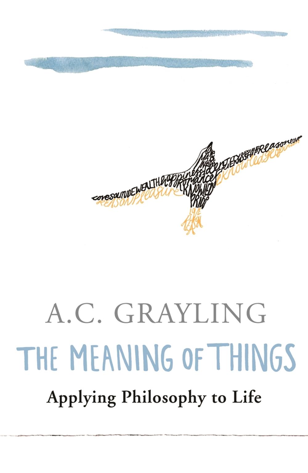 The Meaning of Things, 9780753813591