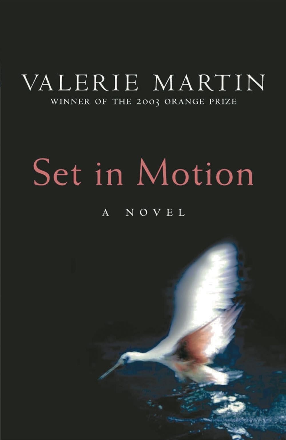 Set In Motion by Valerie Martin - ISBN: 9780753818572