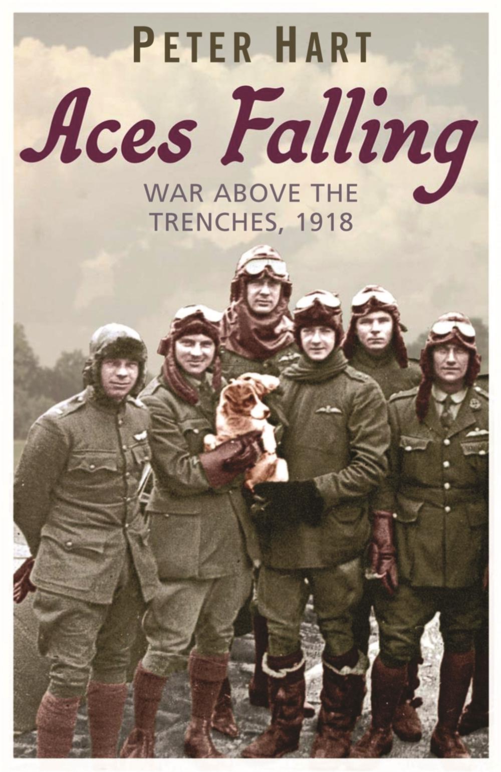 Aces Falling by Peter Hart - ISBN: 9780753824078