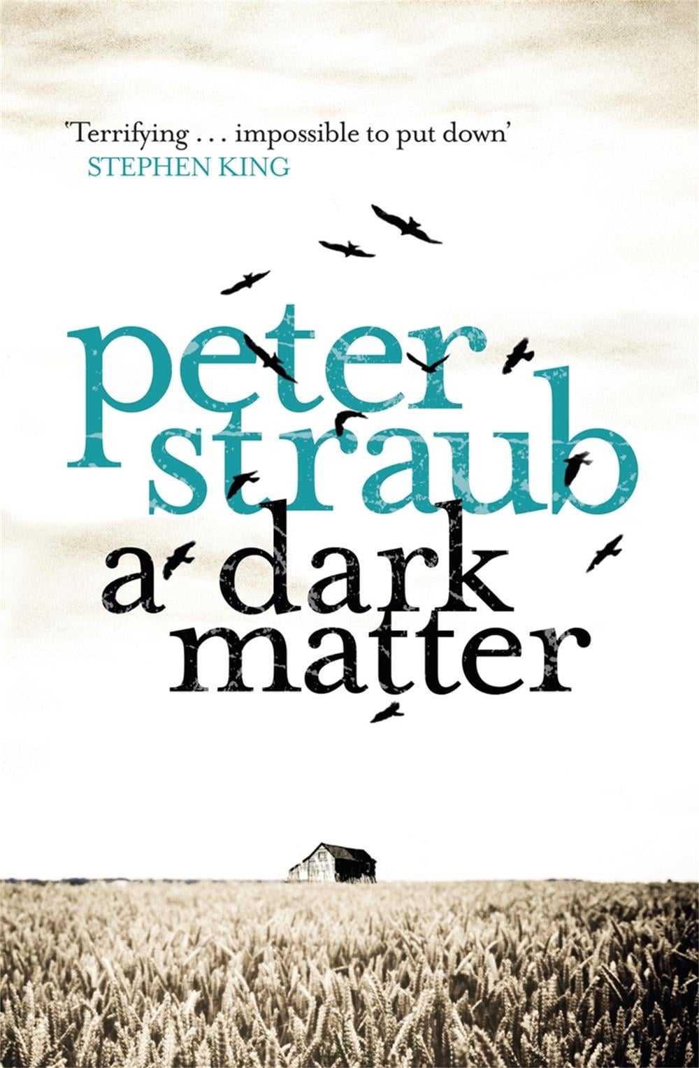 A Dark Matter by Peter Straub - ISBN: 9780753828823