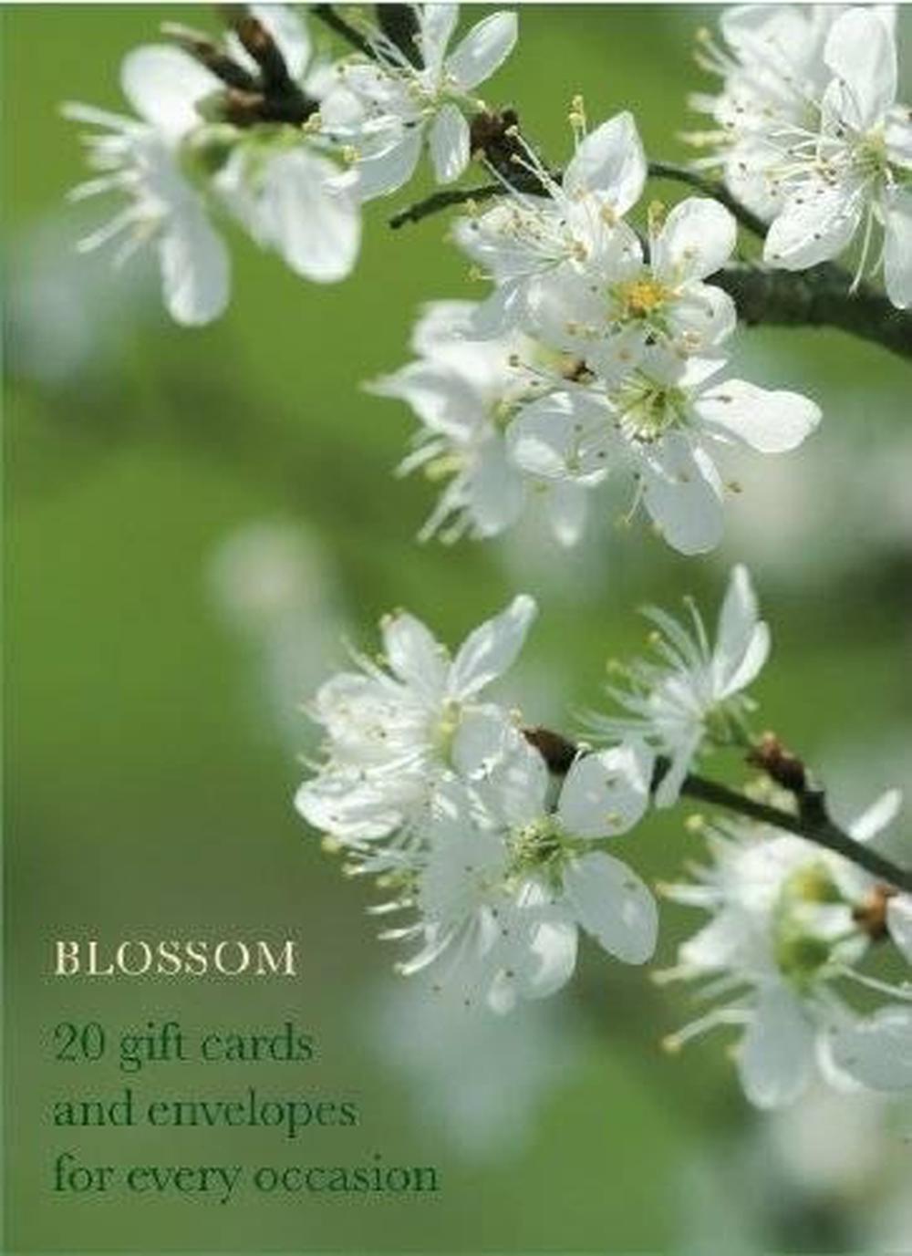 Anness Publishing Blossom Large Card Box, 9780754821205