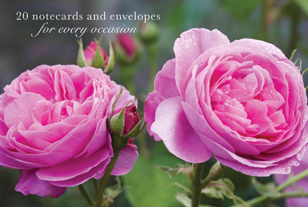 Peony Press Card Box of 20 Notecards and Envelopes: Pink Rose, 9780754825869