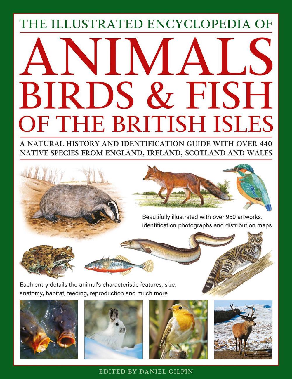 The Animals, Birds & Fish of the British Isles, Illustrated Guide to by Daniel Gilpin - ISBN: 9780754836155