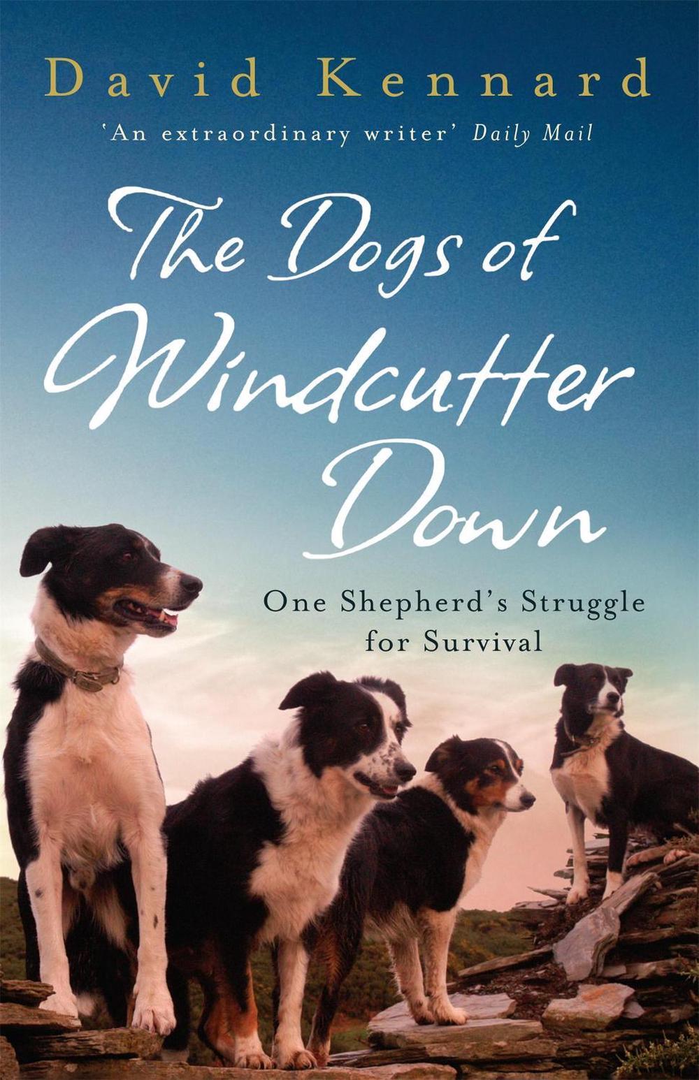 The Dogs of Windcutter Down by David Kennard - ISBN: 9780755312573