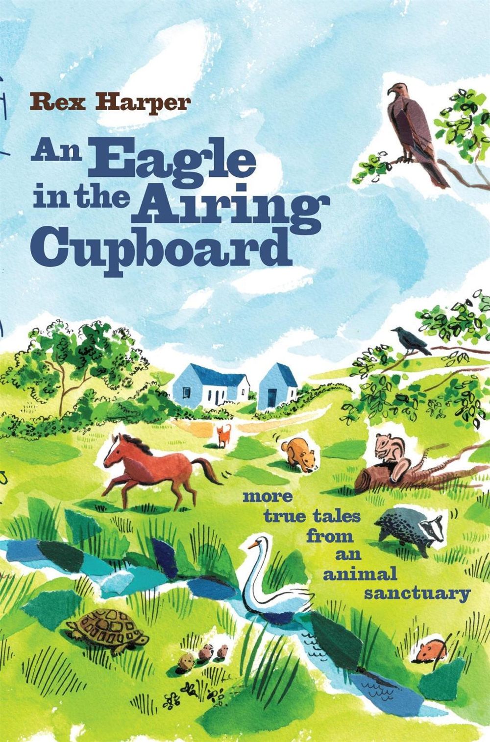 An Eagle in the Airing Cupboard by Rex Harper - ISBN: 9780755318032