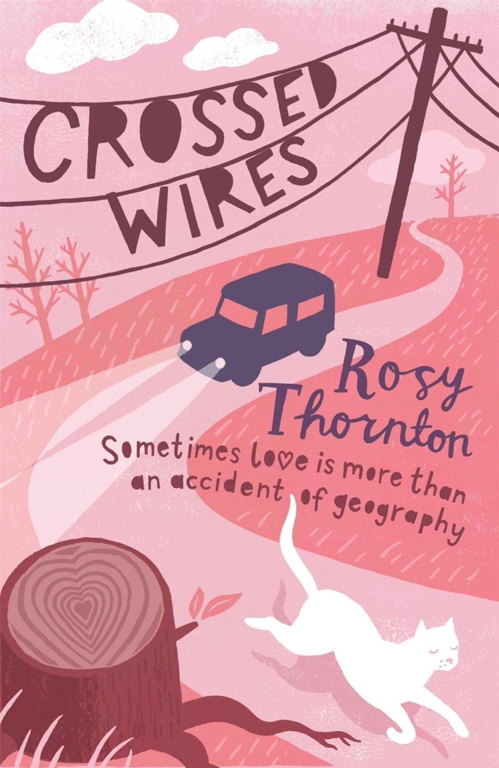 Crossed Wires by Rosy Thornton - ISBN: 9780755345557