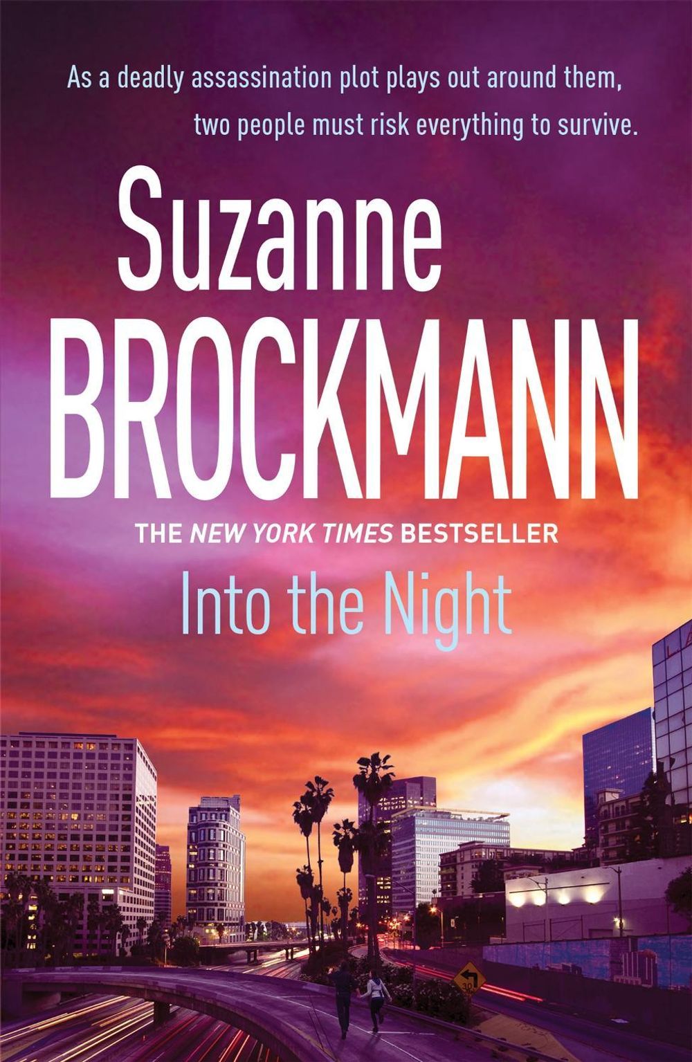 Into the Night: Troubleshooters 5 by Suzanne Brockmann - ISBN: 9780755355624