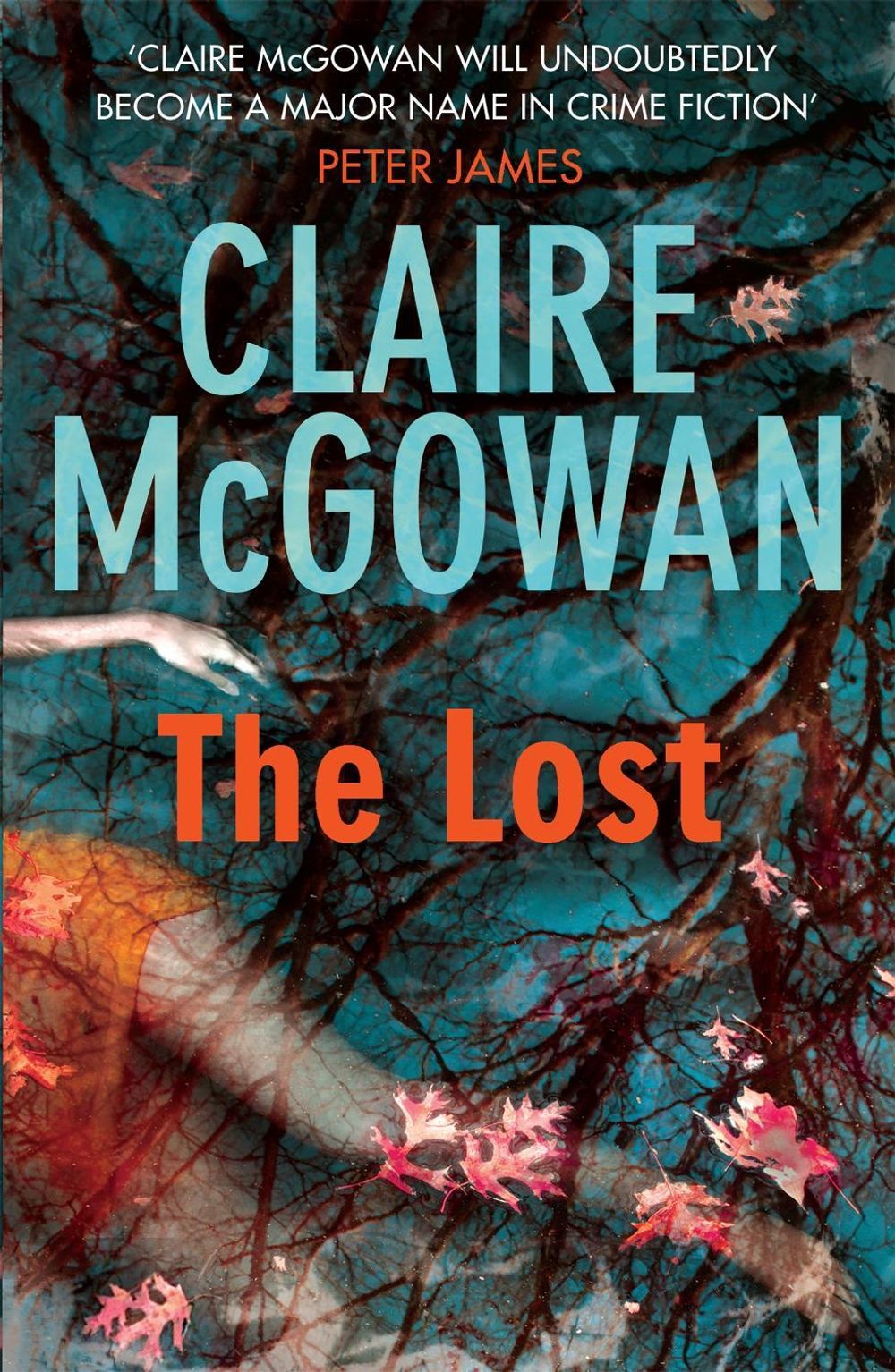 The Lost (Paula Maguire 1) by Claire McGowan - ISBN: 9780755386406