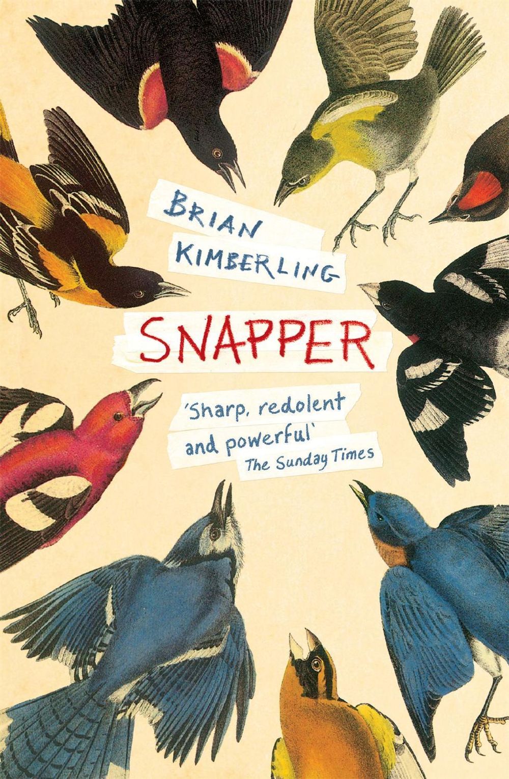 Snapper by Brian Kimberling - ISBN: 9780755396214