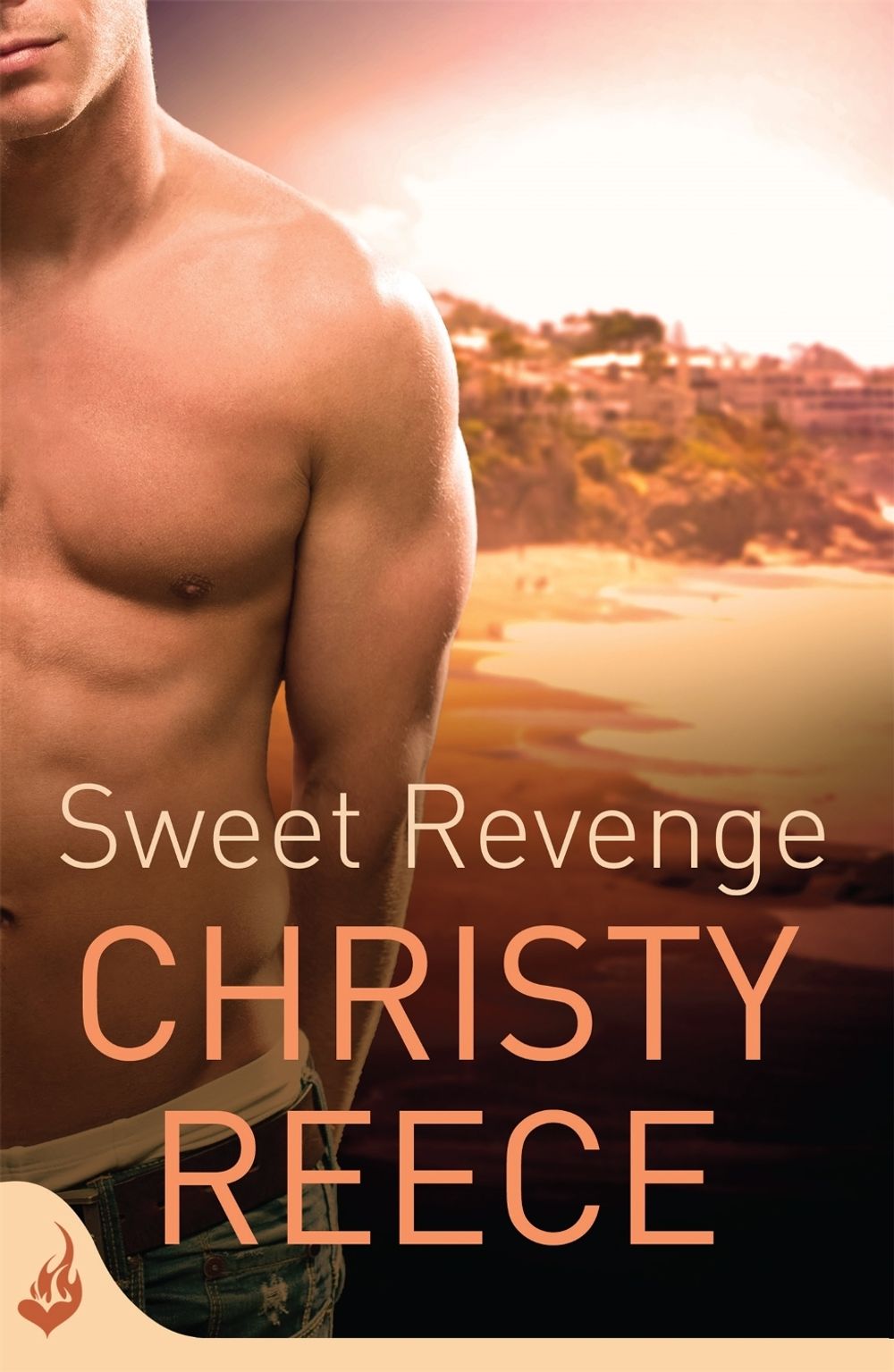 Sweet Revenge: Last Chance Rescue Book 8 by Christy Reece - ISBN: 9780755398034