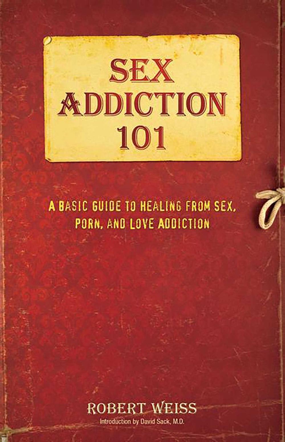 Sex Addiction 101: A Basic Guide to Healing from Sex, Porn, and Love Addiction, 9780757318436