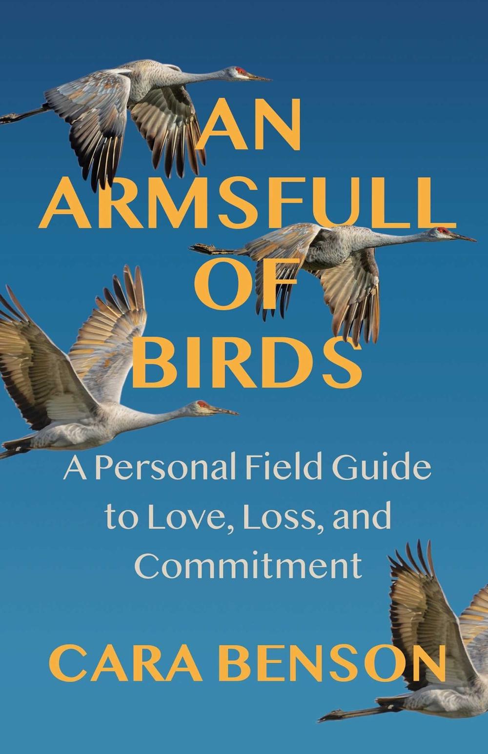 An Armsfull of Birds by Cara Benson - ISBN: 9780757325557