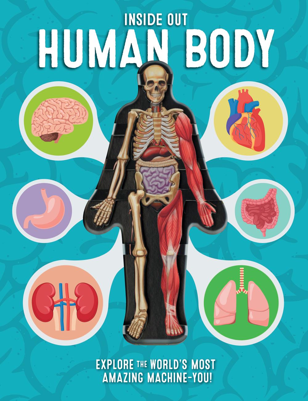 Inside Out Human Body by Luann Columbo, Hardcover, 9780760355312 | Buy ...