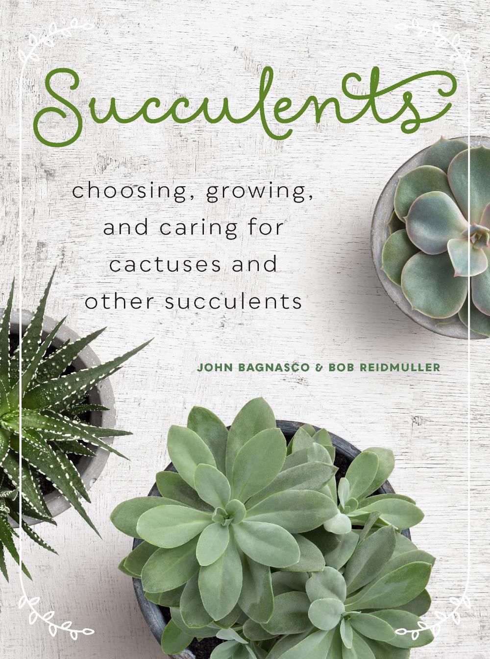 Succulents, 9780760366042