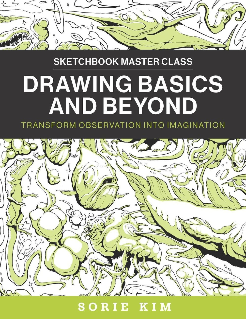 Drawing Basics and Beyond by Sorie Kim - ISBN: 9780760385272