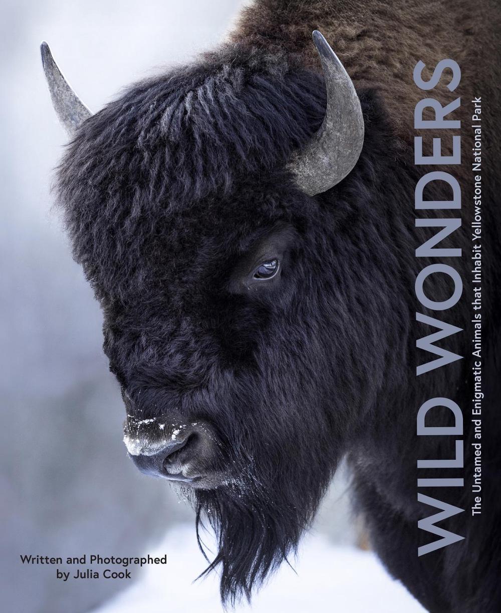 Wild Wonders, 9780760394083