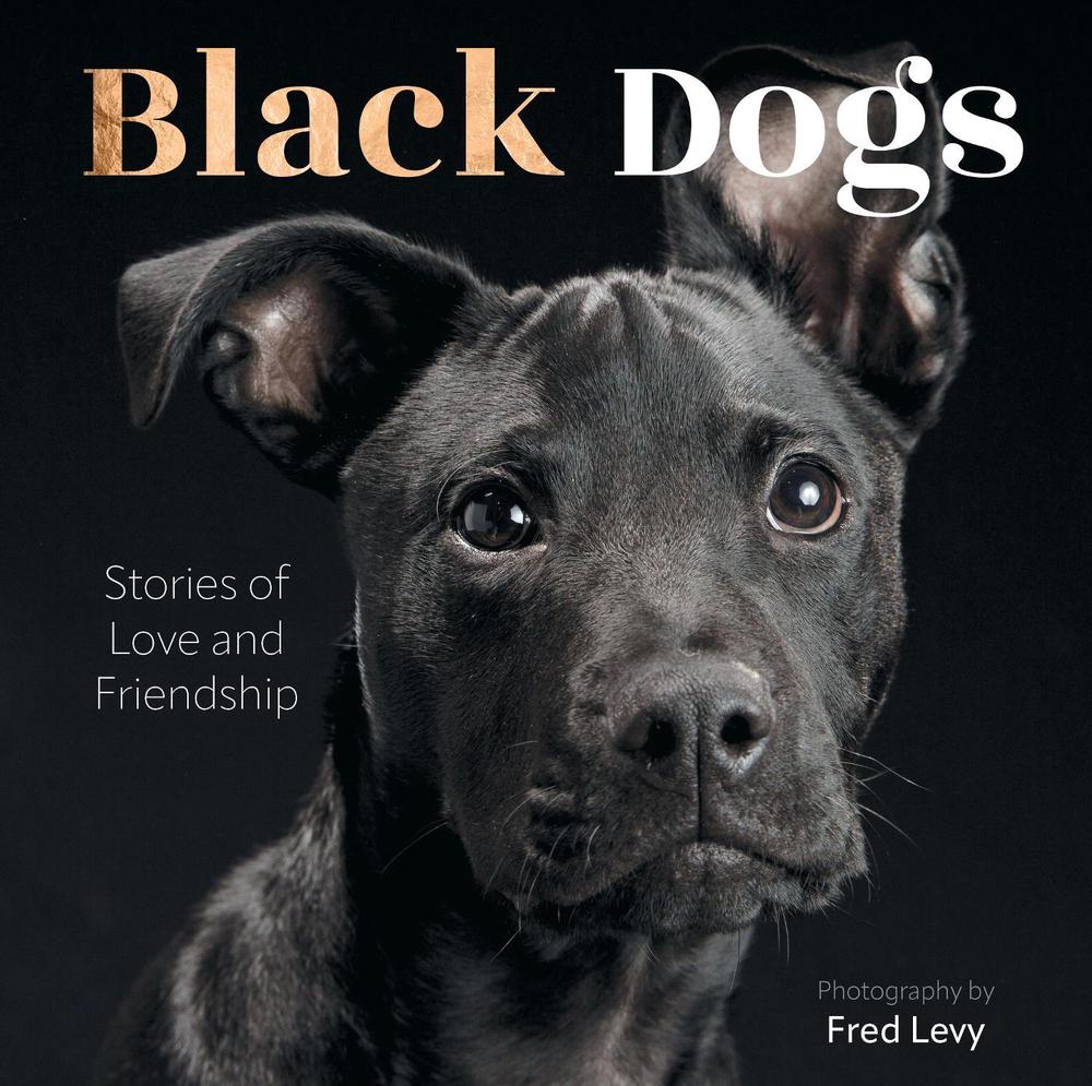 Black Dogs, 9780760394502