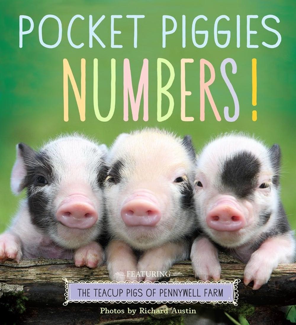 Pocket Piggies Numbers! by Richard Austin - ISBN: 9780761179795