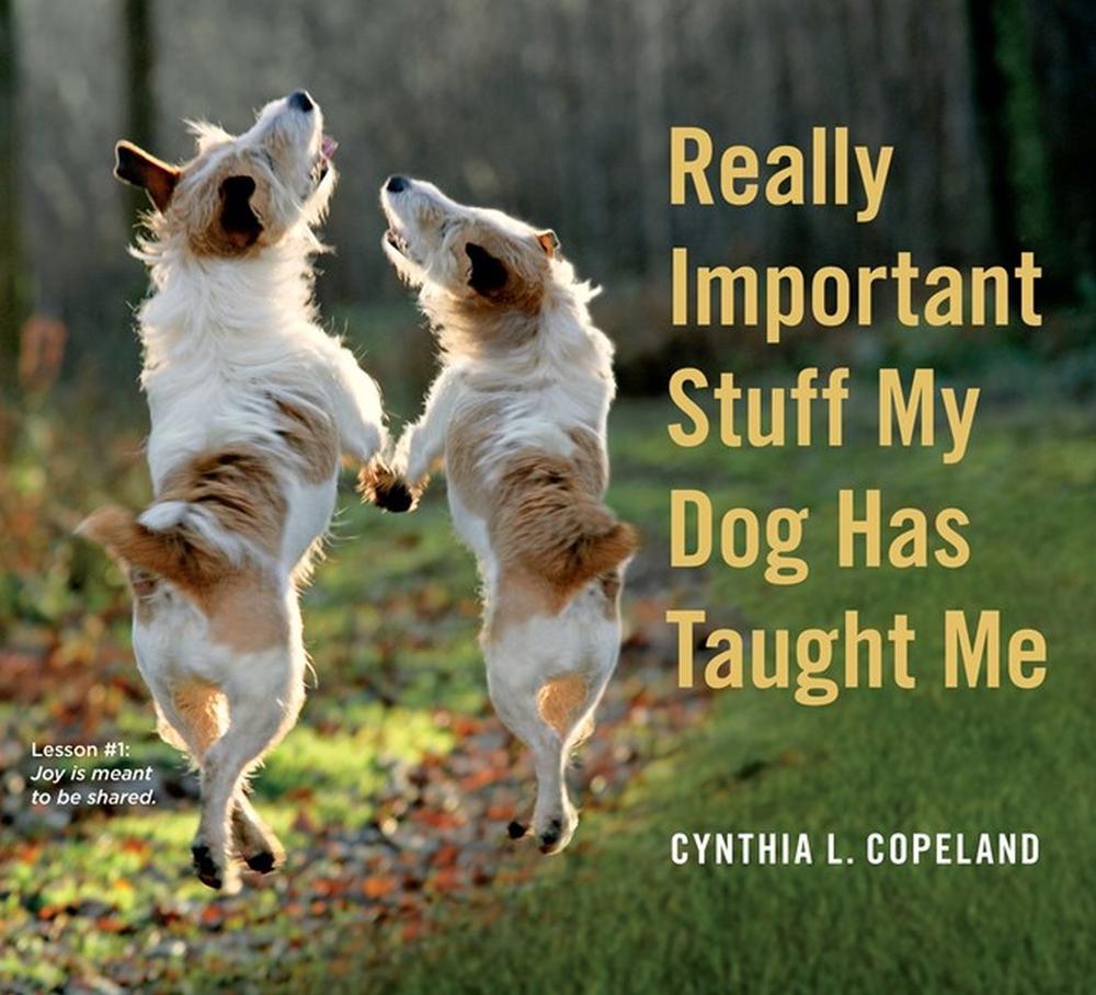 Really Important Stuff My Dog Has Taught Me, 9780761181798