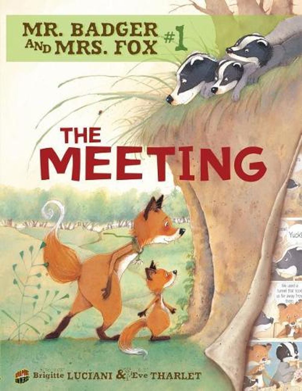 The Meeting by Brigitte Luciani - ISBN: 9780761356318