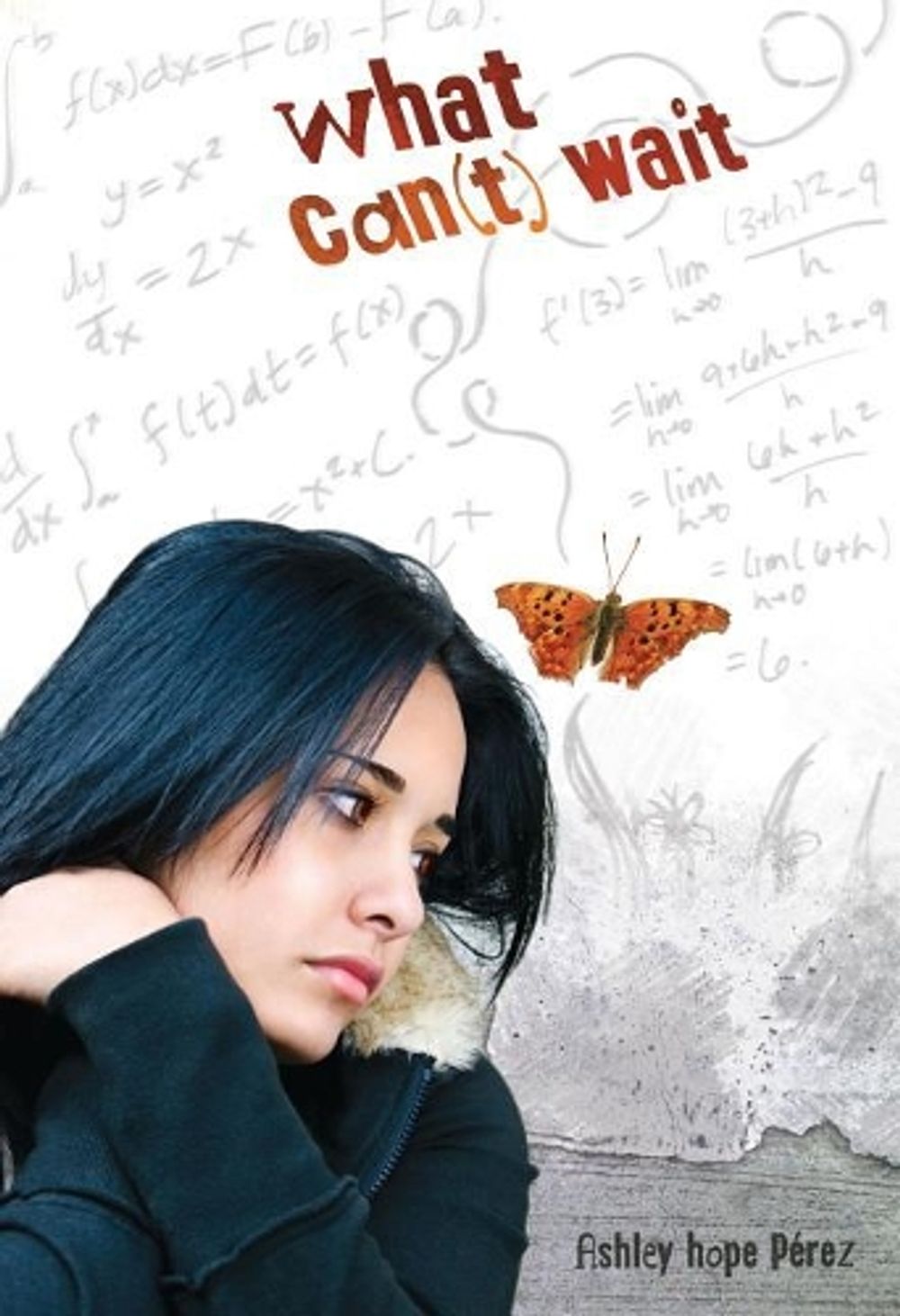 What Can't Wait by Ashley Hope Pérez - ISBN: 9780761384991