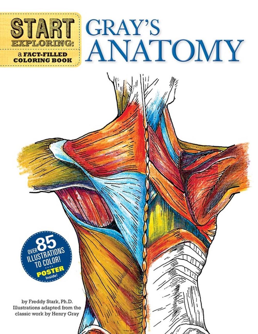 Start Exploring: Gray's Anatomy by Freddy Stark - ISBN: 9780762440733
