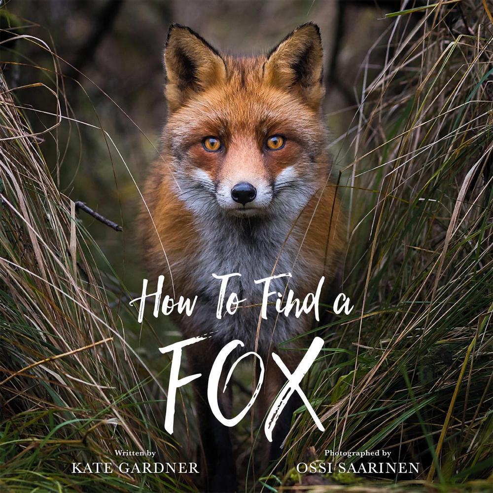 How to Find a Fox by Kate Gardner - ISBN: 9780762471355