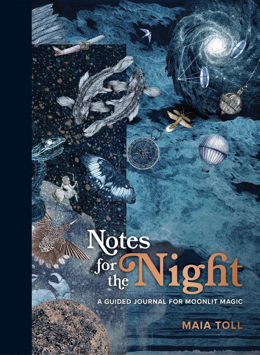 Notes for the Night by Maia Toll - ISBN: 9780762474301