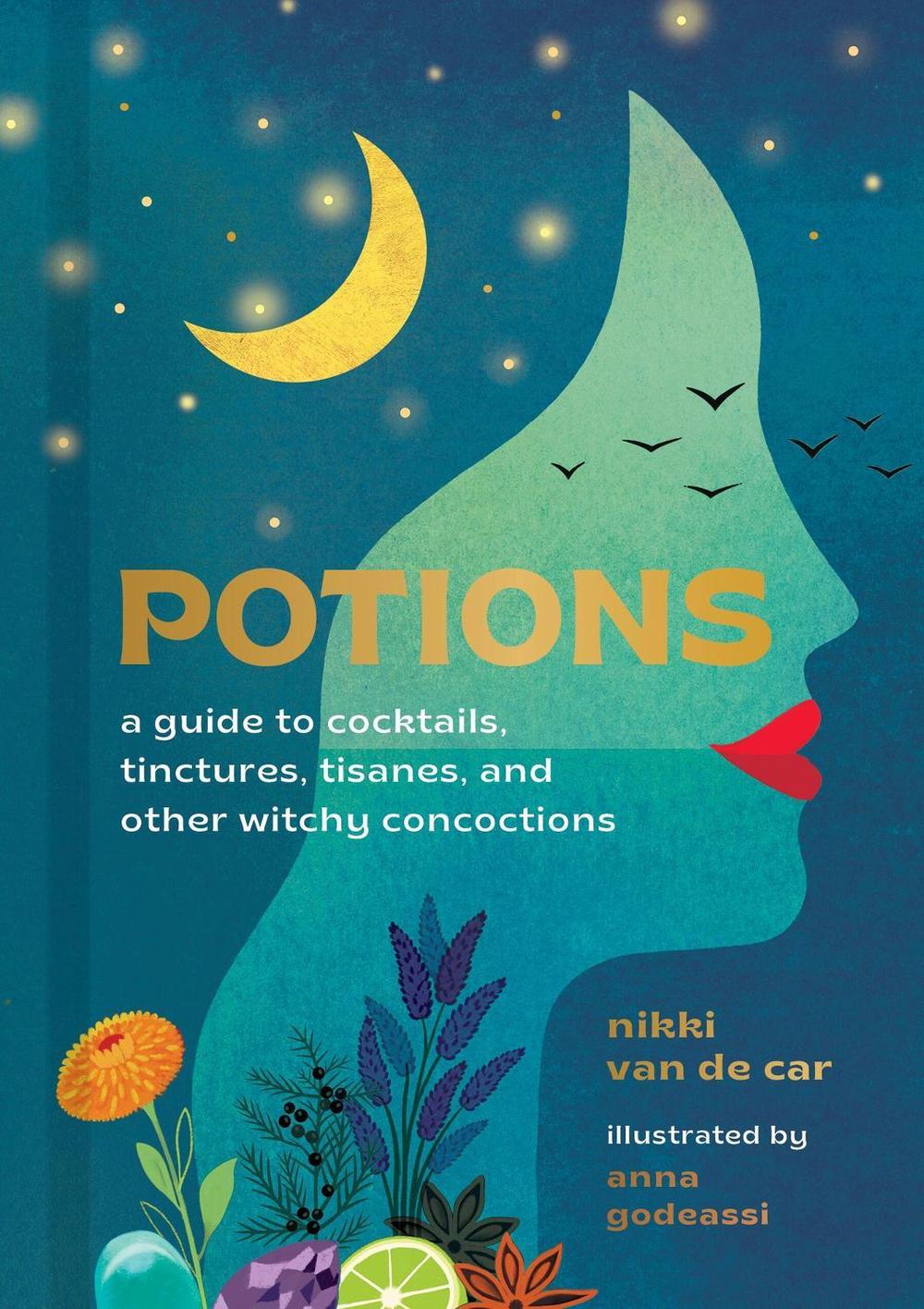 Potions by Nikki Van De Car - ISBN: 9780762478736