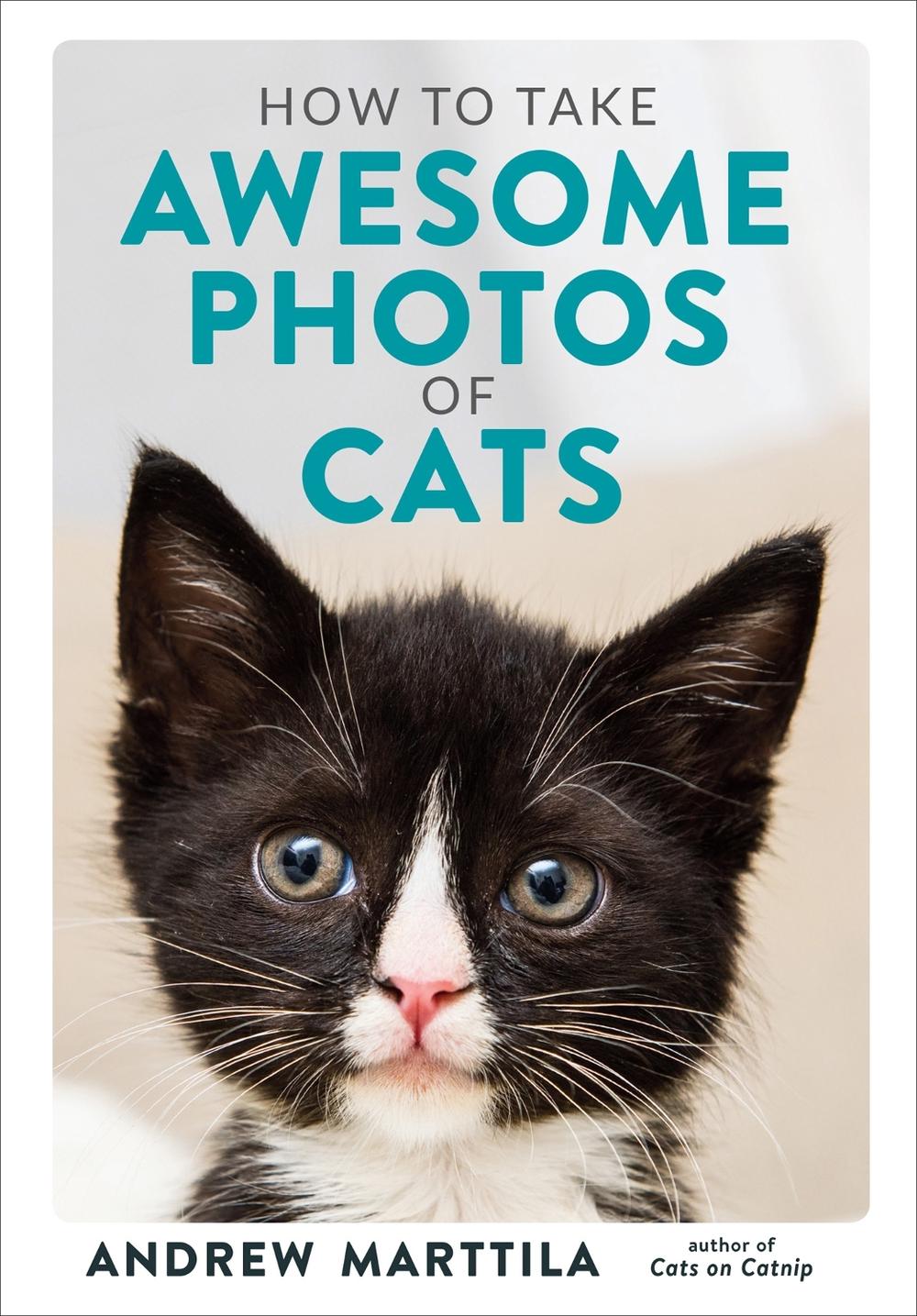 How to Take Awesome Photos of Cats by Andrew Marttila - ISBN: 9780762495153