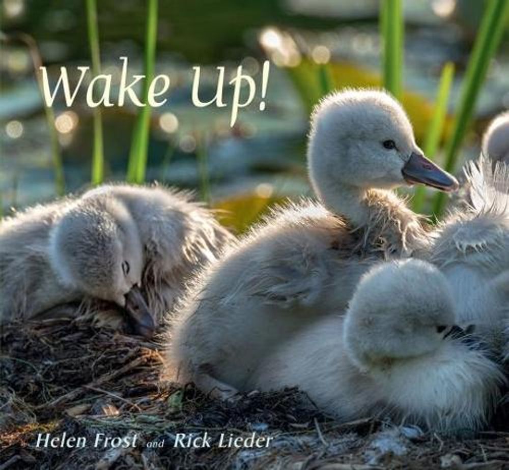 Wake Up! by Helen Frost - ISBN: 9780763681494