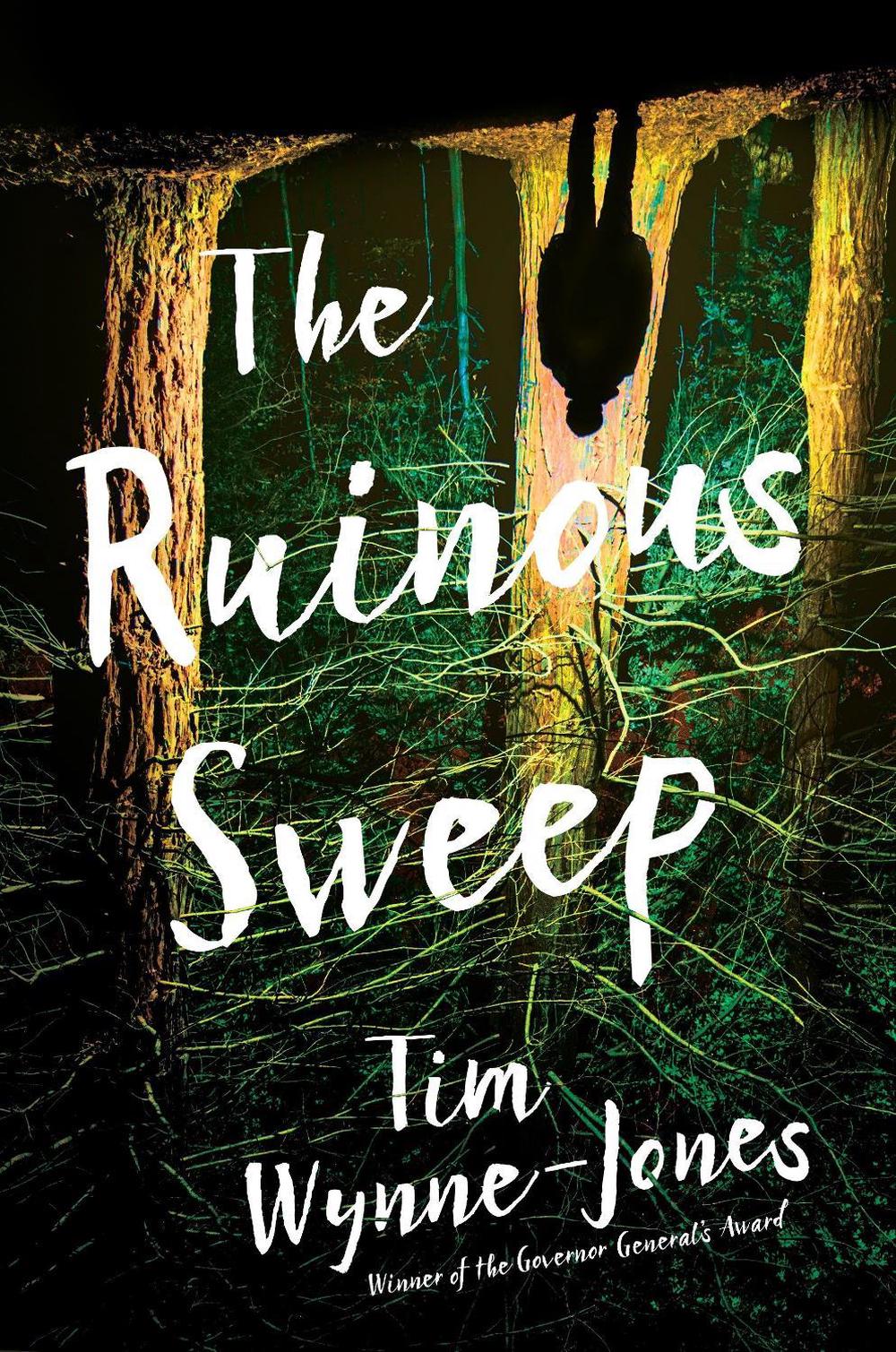 The Ruinous Sweep by Tim Wynne-Jones - ISBN: 9780763697457