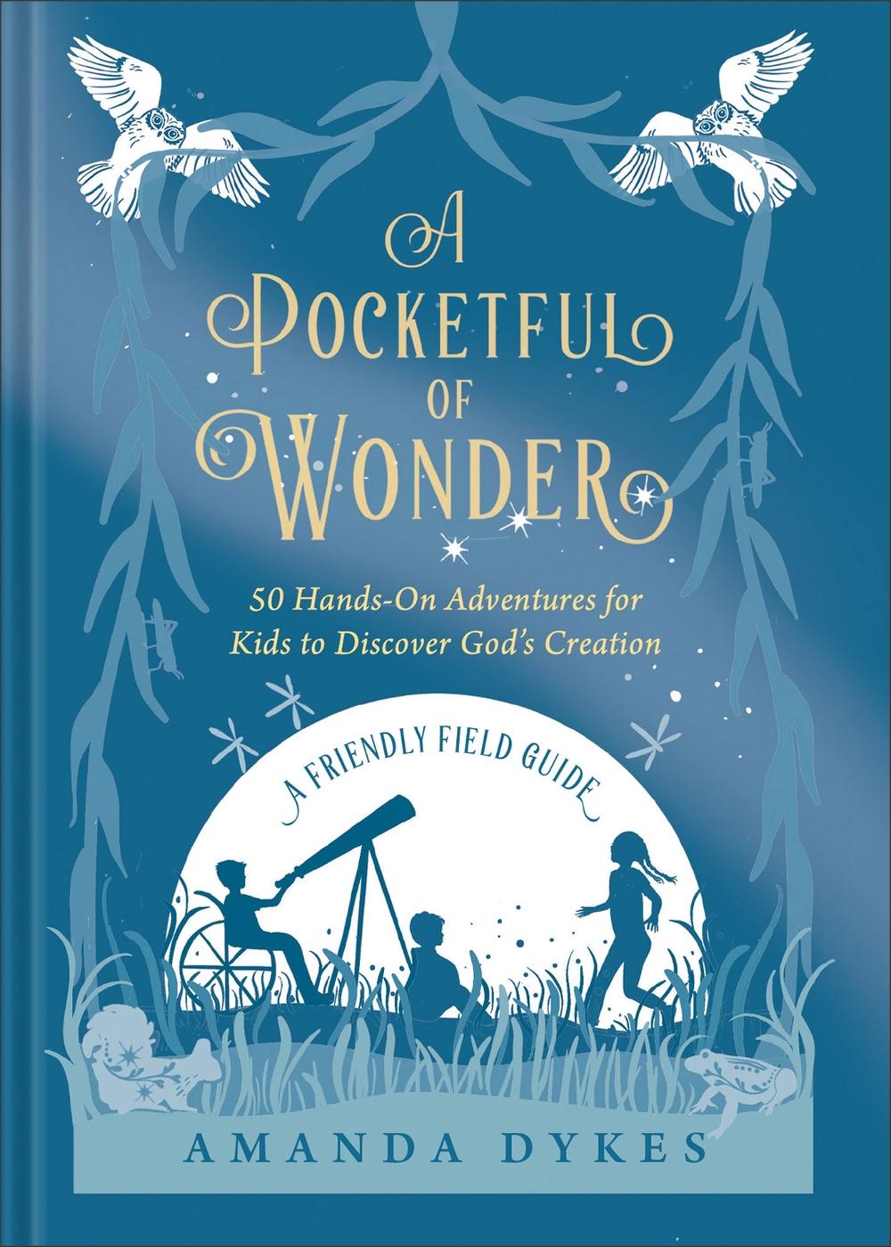 A Pocketful of Wonder, 9780764242939