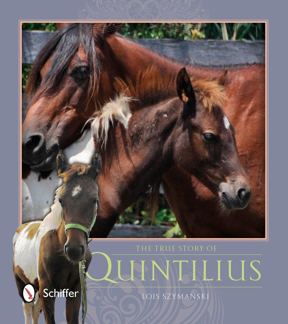 The True Story of Quintilius by Lois Szymanski - ISBN: 9780764347092