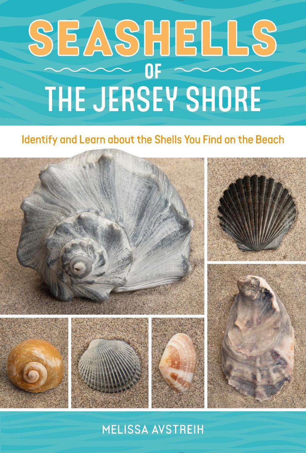 Seashells of the Jersey Shore, 9780764369056