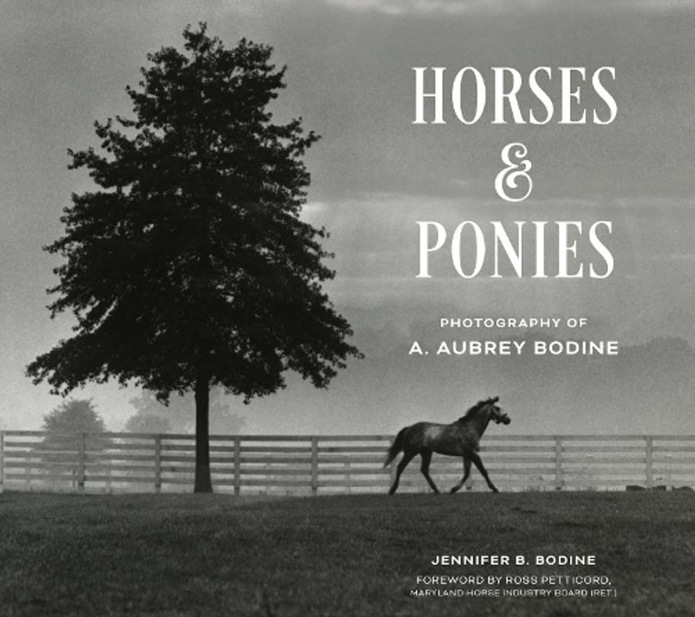 Horses and Ponies by Jennifer Bodine - ISBN: 9780764373299