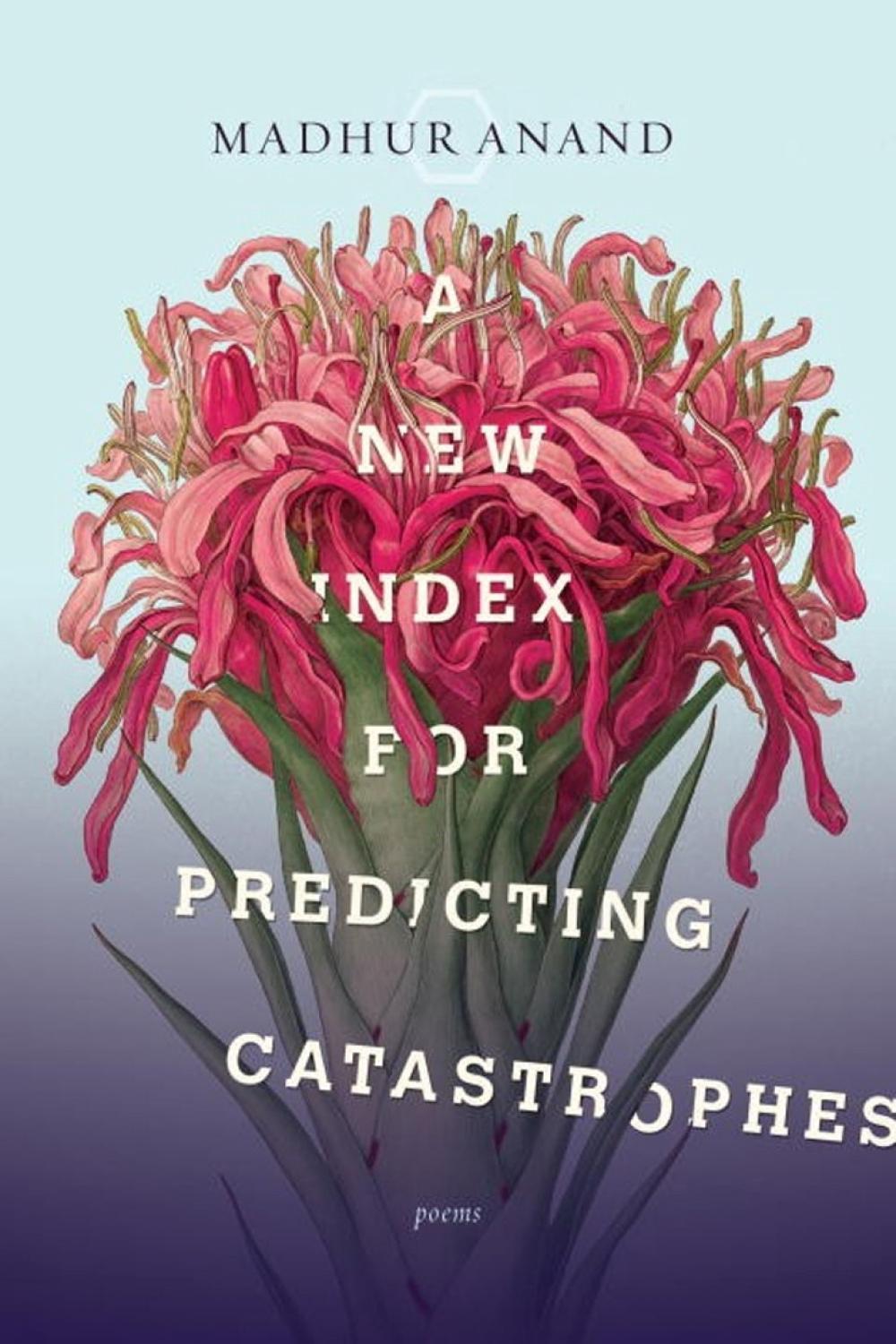 A New Index for Predicting Catastrophes by Madhur Anand - ISBN: 9780771006982