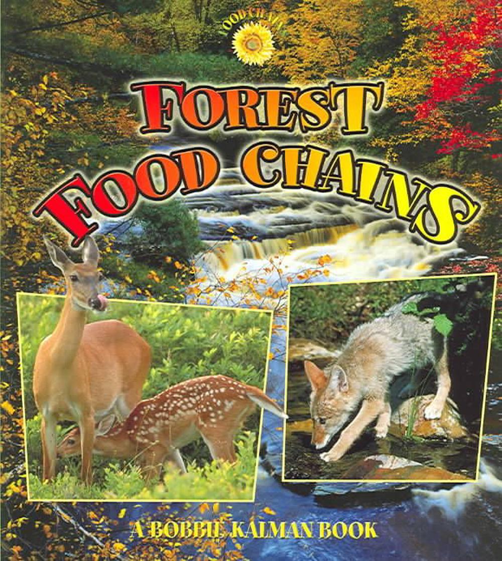Forest Food Chains by Bobbie Kalman, Paperback, 9780778719892 Biology Diagrams